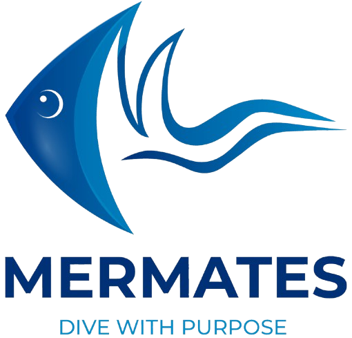mermates  1  removebg preview