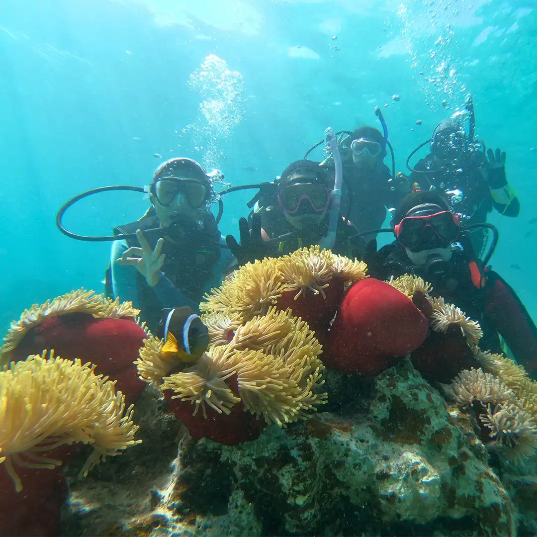 diving in Jeddah
