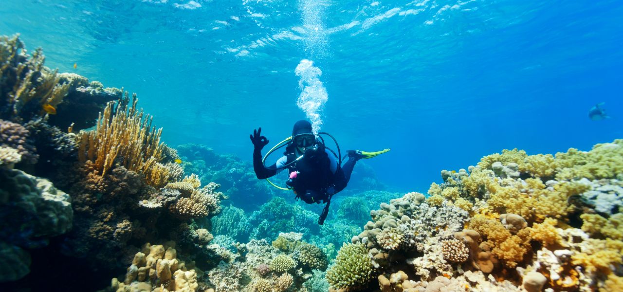 Beginner and advanced scuba diving course teaching underwater skills, safety techniques, and marine exploration, guided by certified instructors.
