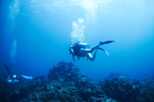 exploring oceans endless wonders two scuba divers explore rocky reef copyspace