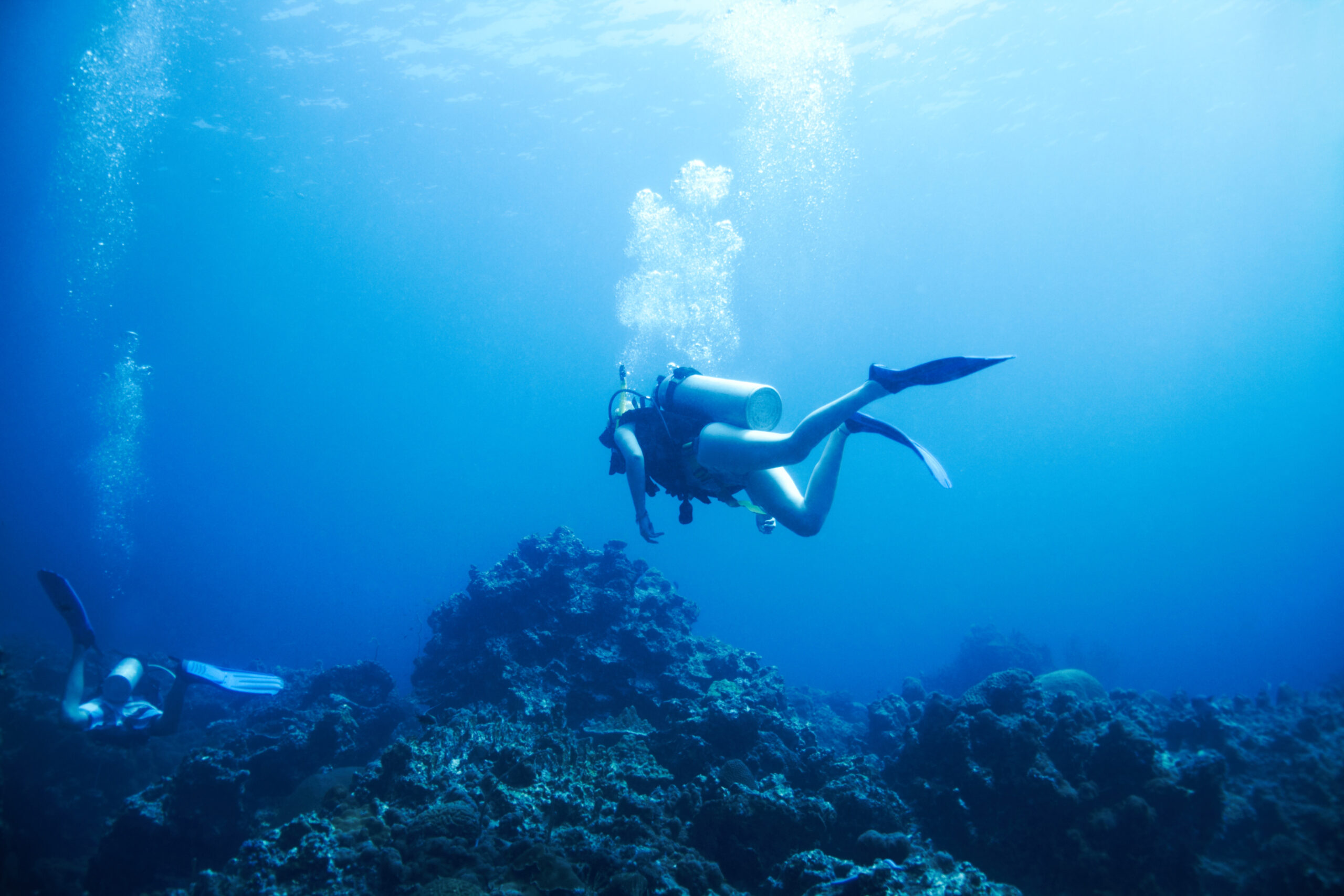 exploring oceans endless wonders two scuba divers explore rocky reef copyspace