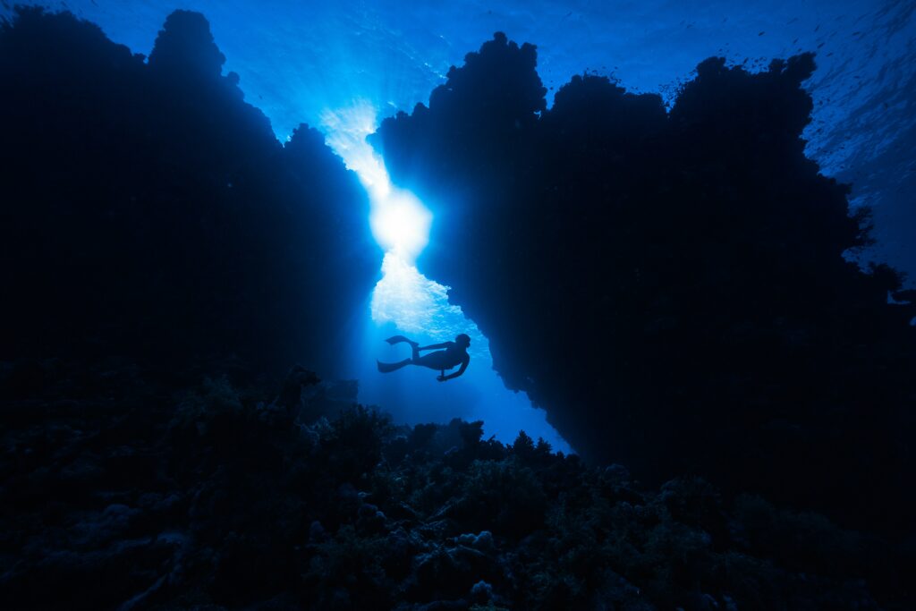 neom 5TOw0ED9Jk unsplash