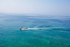 scuba diving jeddah