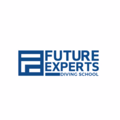 Future Experts